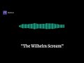 Wilhelm Scream FULL ORIGINAL RECORDING