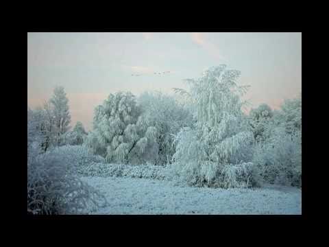 Franz Schuberts "Leise flehen meine Lieder" aus dem Schwanengesang D 957