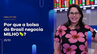 Conheça 2 motivos pelos quais a bolsa negocia milho – e saiba como investir | Minuto B3 – 25/10/2022