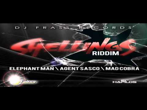 Shellings Riddim MIX[March 2013] - Dj Frass Records