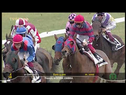 Turflash 21 gennaio 2021