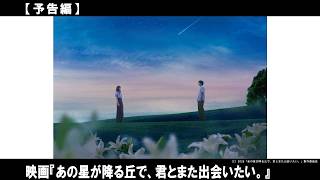 夏祭りの夜、星降る丘に奇跡が舞い降りる。時を超えてつながる愛に、再び涙が止まらない―。
