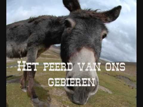 eir peerd - de fleksies