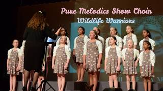 "Wildlife Warrior" - a Steve Irwin tribute song, Crocodile Hunter of Australia Zoo || Pure Melodics