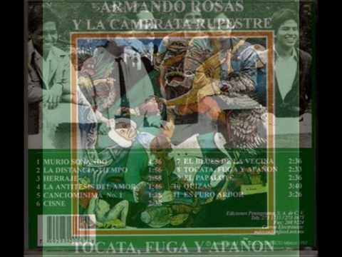 Tocata Fuga Y Apañón video