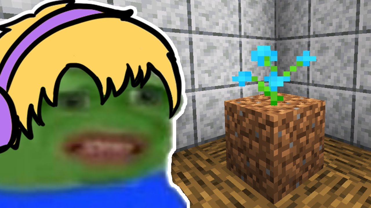 BISAKAH KAMU MENANAM BUNGA BIRU INI?!