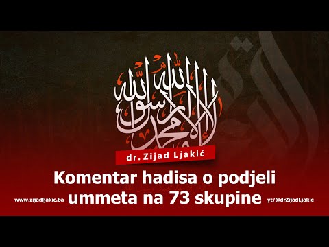KOMENTAR HADISA O PODJELI UMMETA NA 73 SKUPINE - dr. Zijad Ljakić