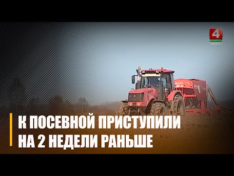 Да пасяўной на Гомельшчыне прыступілі на два тыдні раней видео