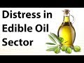 Distress In Edible Oil Sector In India 3rd Largest Commodity Imported By India After Crude Gold