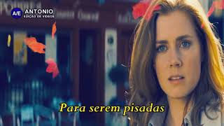 Download lagu Marillion - Beautiful mp3 Download lagu Marillion - Beautiful mp3