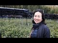 About Yuko Ono Sthlm English Subtitles