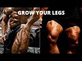 Legs Workout Motivation 💪💪
