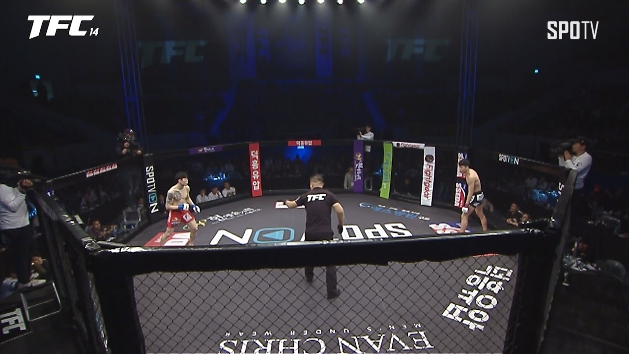 [TFC] TFC 14 최승우 vs 김재웅 하이라이트 (03.19)