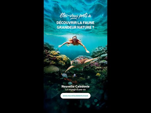 #nouvellecaledonie 💙