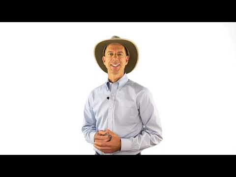 John Strelecky über die Big Five for Life-Seminare