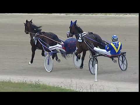 Napoli Trotto 31/03/2023 - 4ª corsa