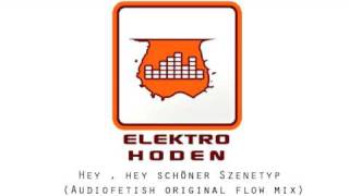 Elektrohoden - Hey Hey schöner Szenetyp (Audiofetish Original Flow Mix)