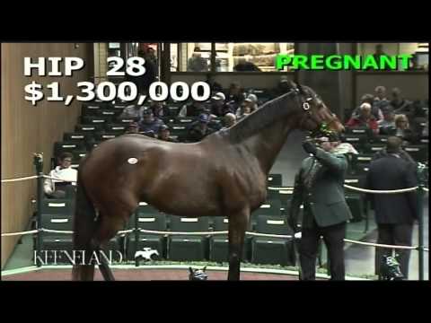 2015 November Breeding Stock Sale: Hip 28 - Colonial Flag
