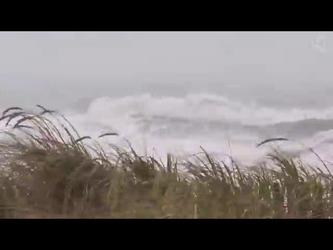 🌀 Hurricane, Storm Ambience on the Beach with Heavy Rough Ocean Waves Crashing on the Coast