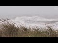 🌀 Hurricane, Storm Ambience on the Beach with Heavy Rough Ocean Waves Crashing on the Coast