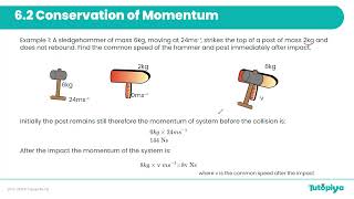 Momentum and Impulse