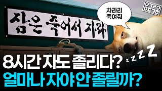 졸리지 않으려면 얼마나 자야 할까? 잠의 숨겨진 과학적 사실! (수면분석 결과 1/2) [카이스트 김재경 교수님, 카이스트 송윤민 박사님]