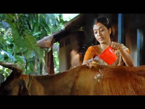 "പായ്‌ക്കറ്റ് പാൽ മേടിച്ചാൽ മതിയെന്ന് ആയിരം തവണ പറഞ്ഞതാ"| Gopika | Veruthe oru Bharya