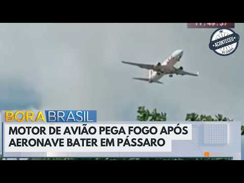 Motor de avião pega fogo após aeronave bater em pássaro