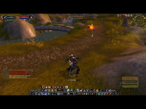 Brang 5 - WoW 80 BM MM SV Hunter PvP