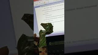 Download lagu buah kesabaran #motivation #motivasihidup #nature #storywa #automobile #pasanganserasi mp3 Download lagu buah kesabaran #motivation #motivasihidup #nature #storywa #automobile #pasanganserasi mp3