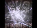 Eternal Voice of Orbits (EVO) - Эмо(1,5 кг Отличного ...