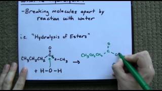 What is Hydrolysis + Examples