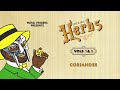 MF DOOM - Coriander (Official Audio)