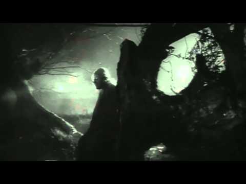 Maïeutiste - Absolution