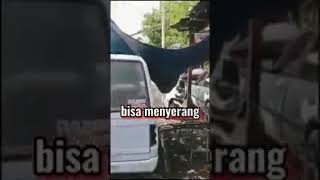 Download lagu lagu corona pengamen jalanan mp3