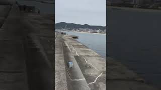 年明け初めての海