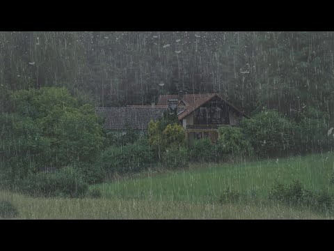 Rain Sounds in the forest for sleep, meditation, deep sleep, relaxing, study
