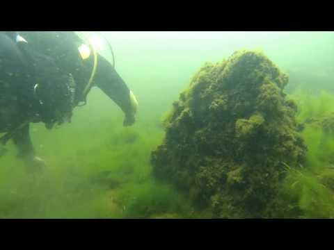 buceo embalse rio tercero