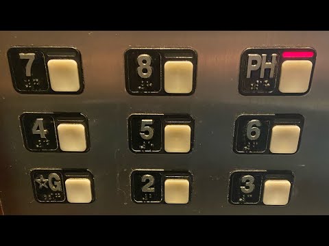 9 STORY LONG BAR MT!! Schindler 700A Traction Elevators @ 5201 Blue Lagoon Dr, Miami, FL