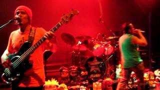 voy y vuelvo - Chancho en Piedra