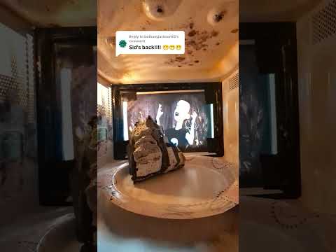 Doritos vs Microwave #science #food #scienceexperiment #shorts