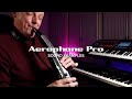 Sounds of the Roland Aerophone Pro, Performed by Alistair Parnell
