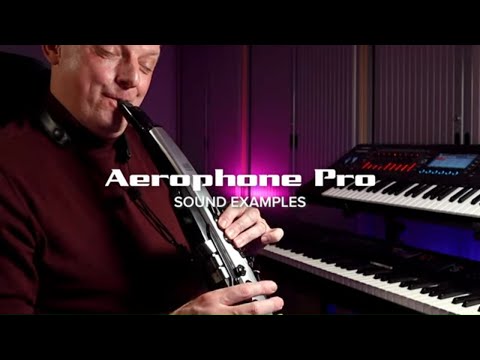 Sounds of the Roland Aerophone Pro, Performed by Alistair Parnell