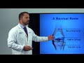 An Overview of Knee Pain by Dr. Miranda