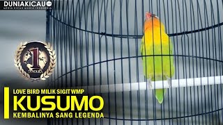 Download lagu TVRI CUP - Kembalinya Performa Terbaik Sang Legenda Love Bird KUSUMO mp3 Download lagu TVRI CUP - Kembalinya Performa Terbaik Sang Legenda Love Bird KUSUMO mp3