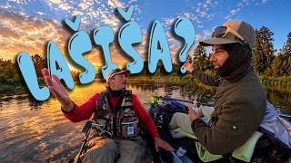 4 DIENOS ir 210 KM Nerimi ieškant LAŠIŠŲ