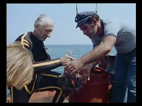 Calypso's Search For The Atlantis - Part 2 - The Jacques Cousteau Odyssey