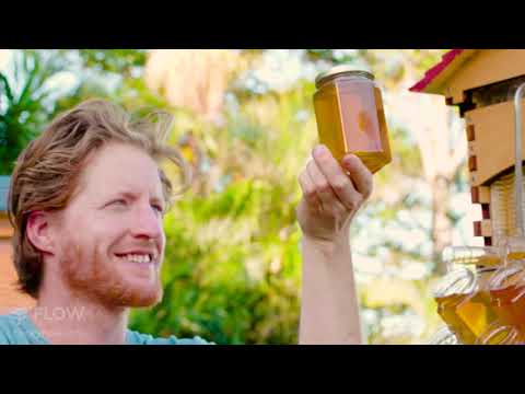 Flow Hive 2 - Araucaria 6 Frame bee hive