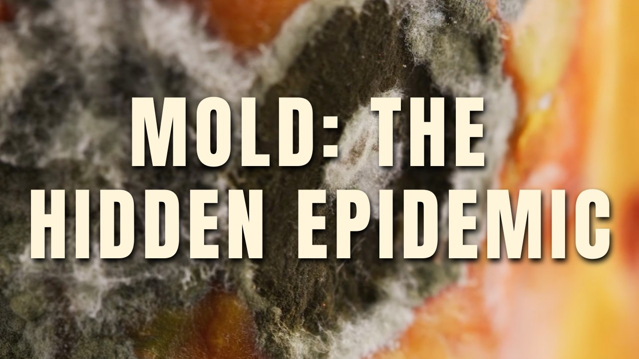 Video thumbnail: Episode Two: Mold, The Hidden Epidemic