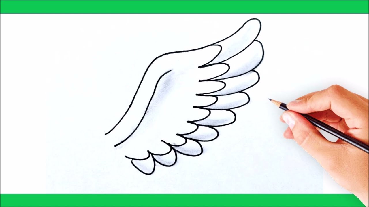 Cómo dibujar un ala